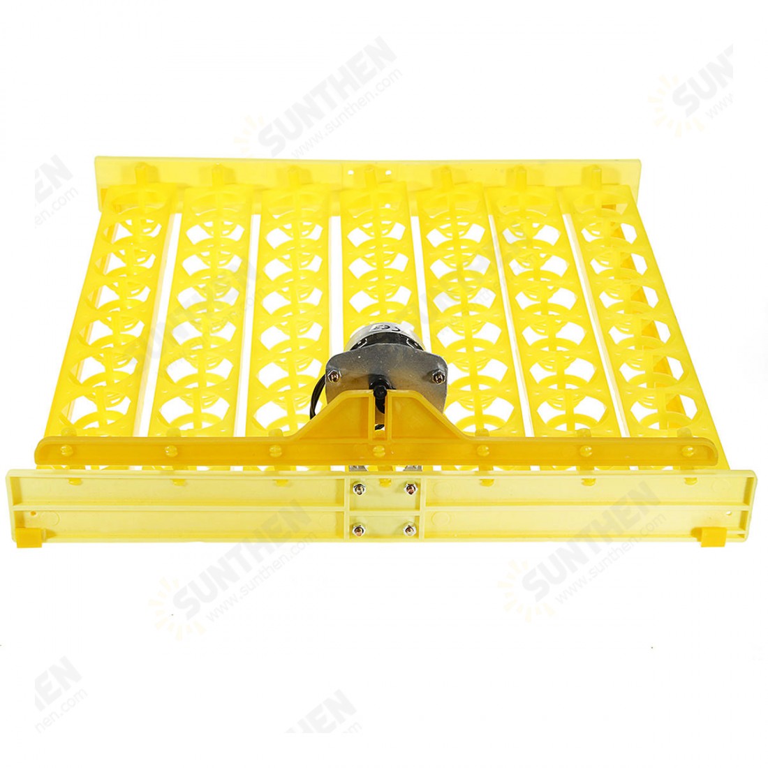 56 Incubator Automatic Eggs Turner Tray With Teching Equipment 220V