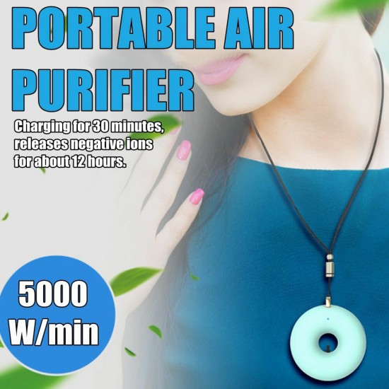 Portable Small Anion Air Purifier with Neck to Remove Formaldehyde and Settle PM2.5 Dust Pollen