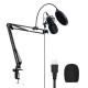 BW-CM2 Condenser Microphone USB Microphone Audio Dynamic System Kit Cantilever Bracket Anti-spray Net Set Sound Recording Vocal Microphone