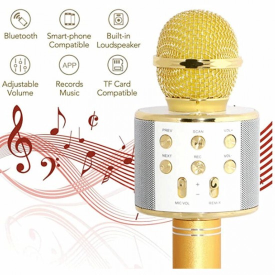 Karaoke 858L microphone with LED Lights, bluetooth, Studio microphone, Corner Recorder