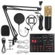 N9 Professional Sound Card + BM800 Recording Condenser Microphone kit with Shock Mount