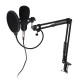 RODD Condenser Microphone Live Broadcast Mic Computer Karaoke Large Diaphragm with Bracket for Youtube