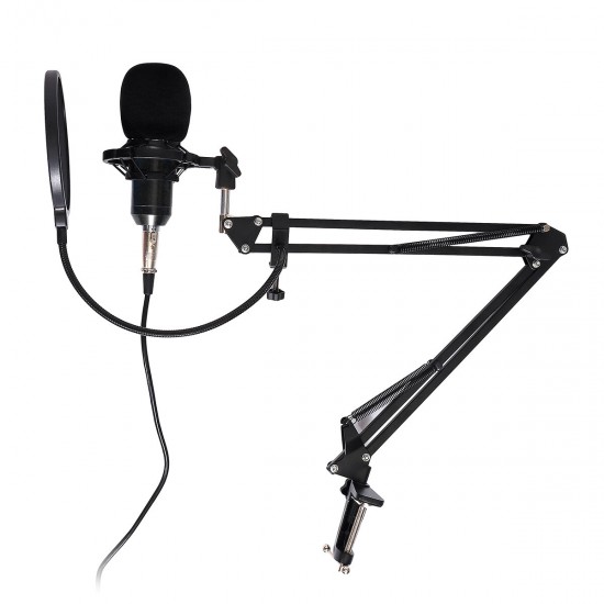 RODD Condenser Microphone Live Broadcast Mic Computer Karaoke Large Diaphragm with Bracket for Youtube