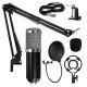 RODD Condenser Microphone Live Broadcast Mic Computer Karaoke Large Diaphragm with Bracket for Youtube