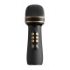 Wireless bluetooth Microphone FM Radio Audio Integrated Condenser Microphone