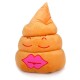 Funny Poo Shape Throw Pillow Dolls Bed Sofa Chair Cotton Cushion