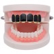 Punk Black Matte Braces Hiphop Grillz Gold Plated Dentures Set Teeth Jewelry