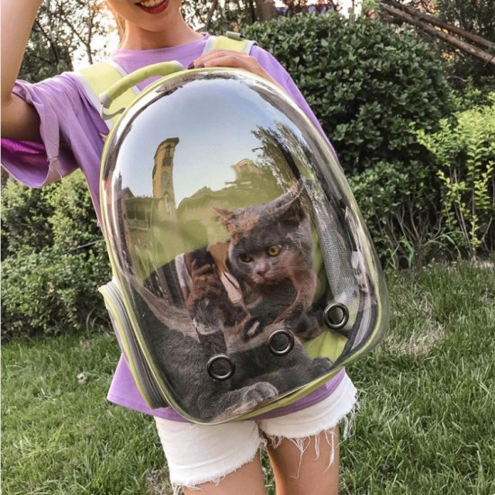 5 Colors Breathable Transparent Pet Travel Backpack Dog Cat Carrier Shoulder Bag