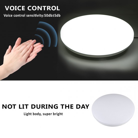 220V 12/18/24W Voice Control Led Ceiling Light Ultra Thin Flush Mount Kitchen Round