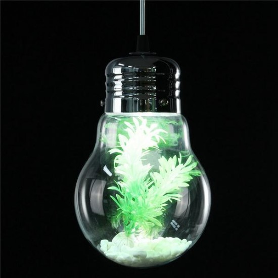 Modern Jar Cup Bulb Sphere Style Glass Plant Ceiling Pendant Light Hanging Lamp For Indoor Decor