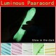 50ft Nylon Reflective Paracord Parachute Cord String 9 Core 550lb Luminous Glow Camping Hiking Rope