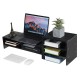 Computer Monitor Riser Desktop LED LCD Laptop Monitor Support Stand Desktop Organizer with Storage Racks