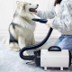 PD9001 Pet Blowing Machine 2200W Low Noise Wam Wind Household Cat Dog Fast Hair Dryer for Pet Supplies Grooming