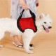 Pet Auxiliary Belt Dog Harness Carriers Assist Sling Portable Lift Security Support Rehabilitation