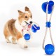 Pet Puppy Dog Molar Pet Bite Toys Tug Rope Ball Chew Tooth Cleaning Suction Cup Cat Supplies