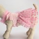 Summer Pet Dog Princess Dress Heart Lace Dog Cat Wedding Dress