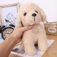 18/25CM Multi-color Simulation Realistic Teddy Lucky Dog Handmade Poodle Stuffed Plush Animal Figure Toy