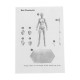 Figma Archetype Action Figure Doll PVC M2.0 Body Female Grey Color Model Doll For Decoration