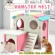 Hamster Golden Bear Bedroom Color Wooden House Big House