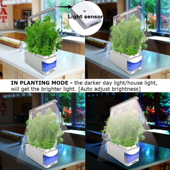 Blue Intelligent Plant Lamp 8W Home And Office Indoor Planting European / American / British Regulations Smart Plant Light