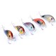 5PCS 5CM 3.8G Fishing Lures Wobblers Painting Series Fishing Topwater Artificial Hard Baits