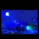 DC 5V IP65 Waterproof Aquarium LED Light RGB Multicolor Fish Tank Light Reef Lamp Spotlight with Remote Control