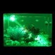 DC 5V IP65 Waterproof Aquarium LED Light RGB Multicolor Fish Tank Light Reef Lamp Spotlight with Remote Control