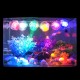 DC 5V IP65 Waterproof Aquarium LED Light RGB Multicolor Fish Tank Light Reef Lamp Spotlight with Remote Control