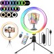 [29 RGB Colors] EGL-03P 10inch 3Lighting Mode Brightness Adjustment LED Ring Full Light Tripod Stand Live Selfie Holder with Remote Control