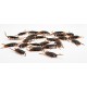 1PC Prank Funny Trick Joke Toys Lifelike Model Simulation Cockroach Kids Children Magic Props