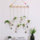 Hanging Clear Glass Flower Plant Hydroponic System Vase Terrarium Container Home Garden