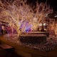 2M*3M 3M*3M Waterproof Mesh Net LED Fairy String Light For Wedding Christmas EU Plug