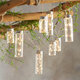 3x3M Waterproof USB 300LED Window Curtain String Light 8 Modes Outdoor Fairy Lamp Home Decor with Hook