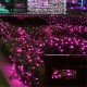 3x3m Waterproof LED Curtain Fairy String Light Wedding Party Outdoor Decoration EU Plug AC220V