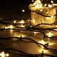 5M 50 LED String Fairy Light Outdoor Christmas Xmas Wedding Party Lamp 220V