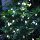 6.5M 30LED Ball String Light Outdoor Christmas Garden Party Wedding Decor Waterproof+Remote Control