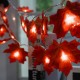 Battery Powered 2.3M 20LEDs Warm White Pure White Fall Leaves Indoor Fairy String Light for Party