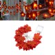 Battery Powered 2.3M 20LEDs Warm White Pure White Fall Leaves Indoor Fairy String Light for Party