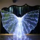 LED Isis Wings Night Light Glow Up Lamp Costume Belly Dance Egyptian Club Show With Stick