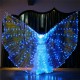 LED Isis Wings Night Light Glow Up Lamp Costume Belly Dance Egyptian Club Show With Stick