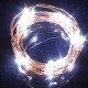 Warm White/White 10M 100LED Copper Wire LED String Lights Lamp 12V