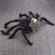 Halloween Party Decoration Skeleton Ghosthead Spider Horrid Scare Scene Toys