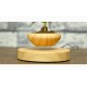 Magnetic Suspended Potted Plant Wood Grain Round LED Indoor Pot Home Office Decoration