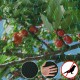 Large Anti Bird Protect Tree Nylon Net Fruit Crop Plant Garden Pond Netting Mesh