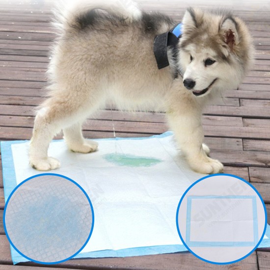 Pet Diaper Disposable Super Absorbent Training Dog Diaper Healthy Cleaning Dog Pad Puppies Training Mat