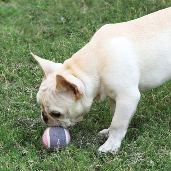 Pet Dog Tennis Chasing Training Roller Ball Toys Form