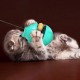 Pet Interactive Tumbler Toy Leaking Food Ball Toy Cat Stick Turntable Toy Funny Pet Training Tool