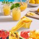 Manual Anti-drip Fruit Juicer Removable Easy to Clean Juice Extractor