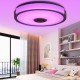 36W 108LED Music Ceiling Lamp RGB APP+Remote Control Bedroom Study Living Room