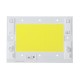 50W 100W Pure White/Nature White Thunder Protection COB LED Chip for Flood Light AC220-240V